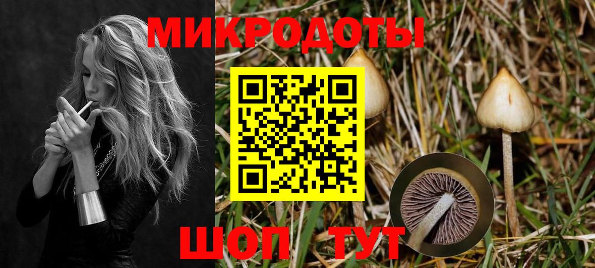 Псилоцибиновые грибы мухоморы Новый Уренгой