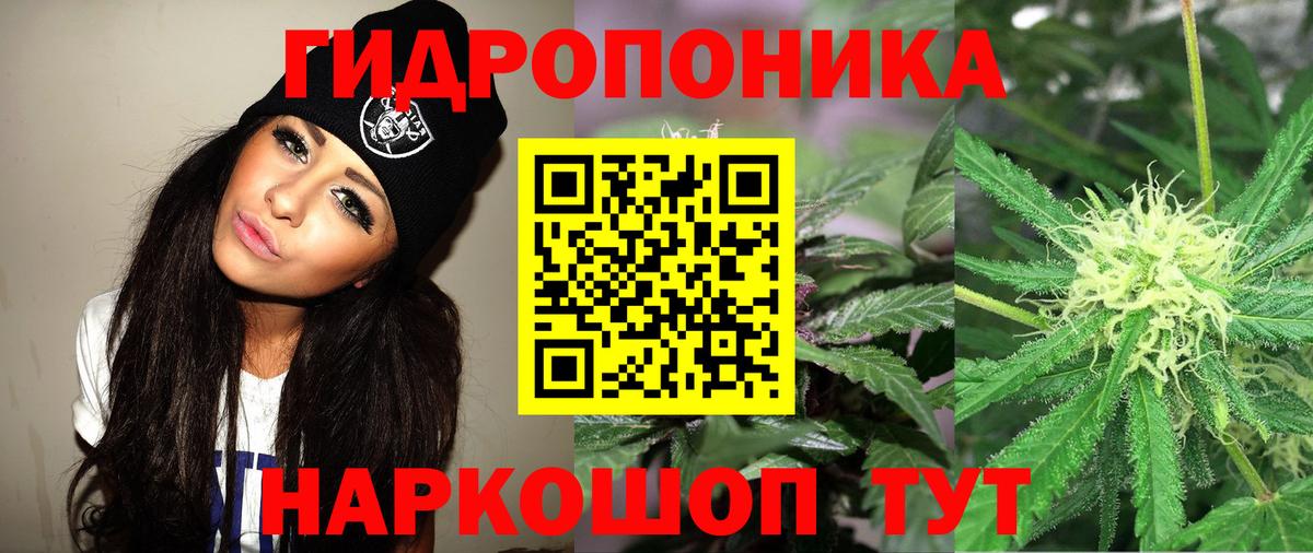 Шишки марихуана VHQ Новый Уренгой